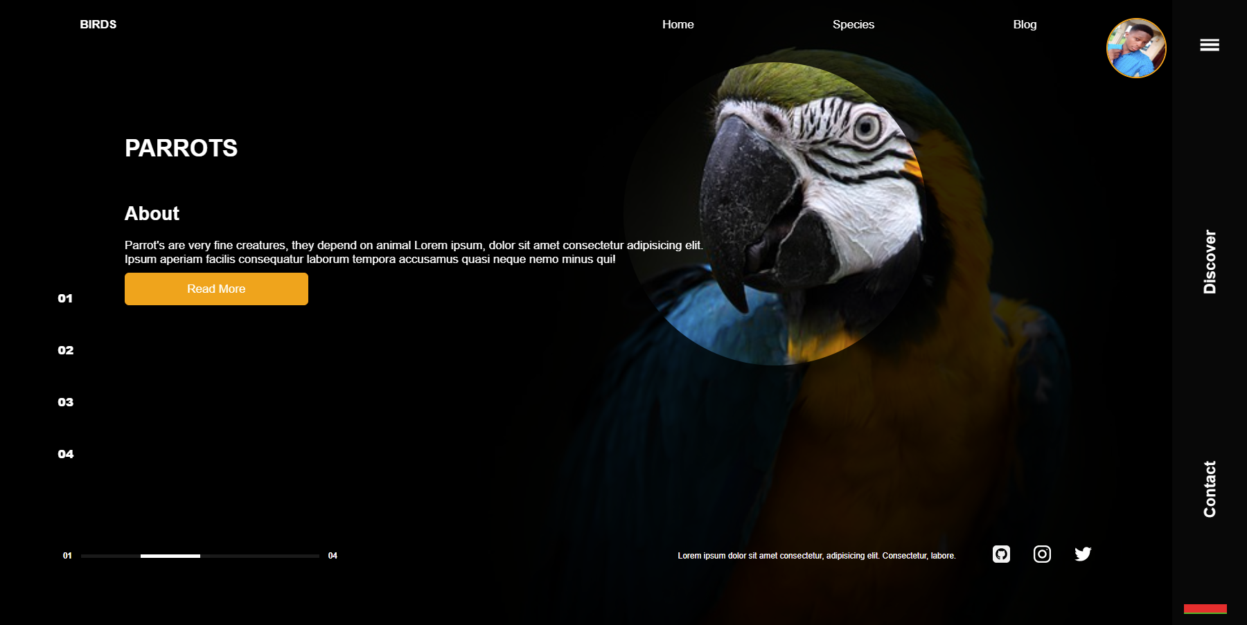 Parrot Page